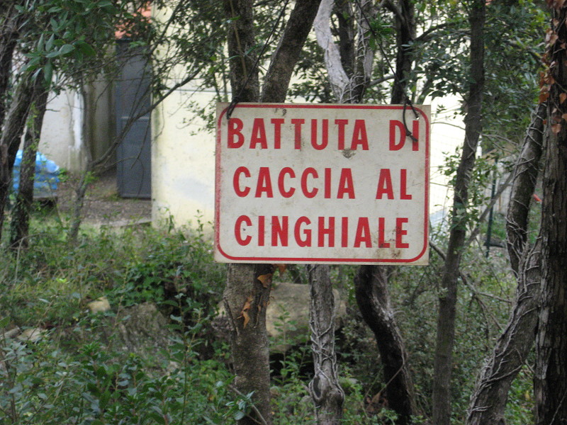 Battuta di Caccia