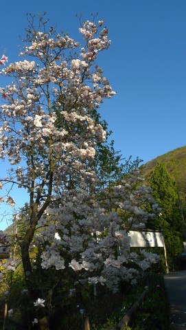 Tessin, eine Reise in den Sommer , Teil 2 Vielfalt und Schönheit, Verzascatal 4