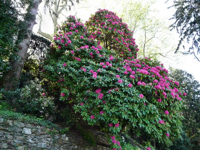 Tessin, rund um den Lago Maggiore 3