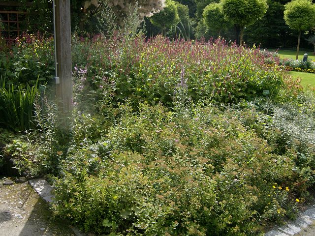 AUGSBURG > BotanischerGarten14