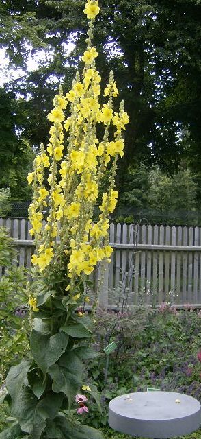 AUGSBURG > BotanischerGarten28