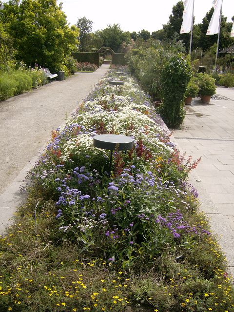 AUGSBURG > BotanischerGarten37