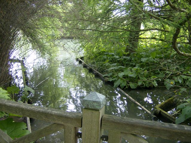 AUGSBURG > BotanischerGarten61 > See