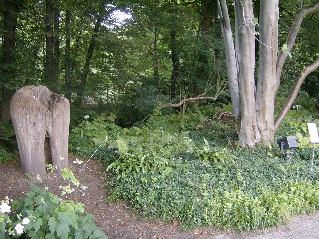 AUGSBURG > BotanischerGarten68