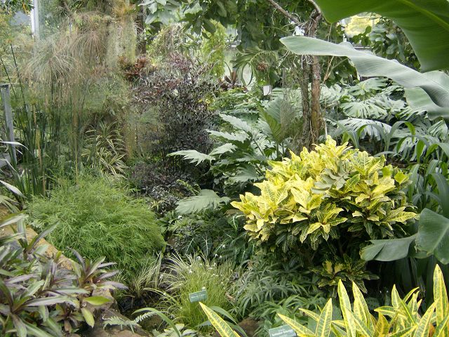AUGSBURG > BotanischerGarten80 > Tropenhaus