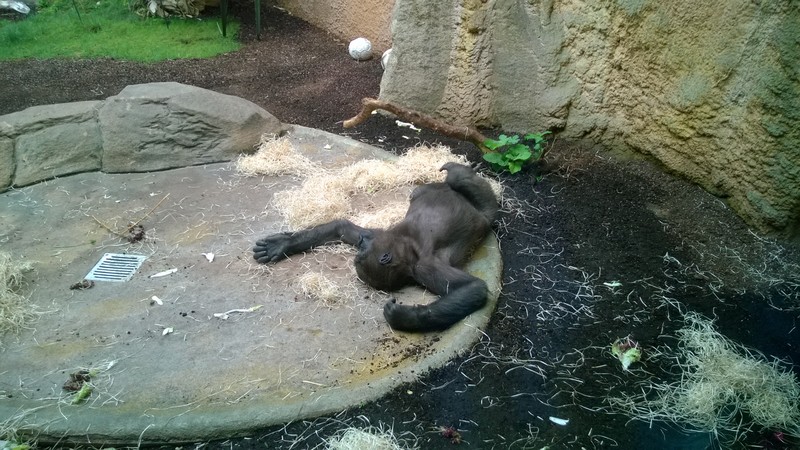 Nacht der Biodiversität, Tierpark Hellabrunn