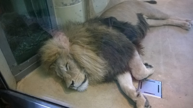 Nacht der Biodiversität, Tierpark Hellabrunn