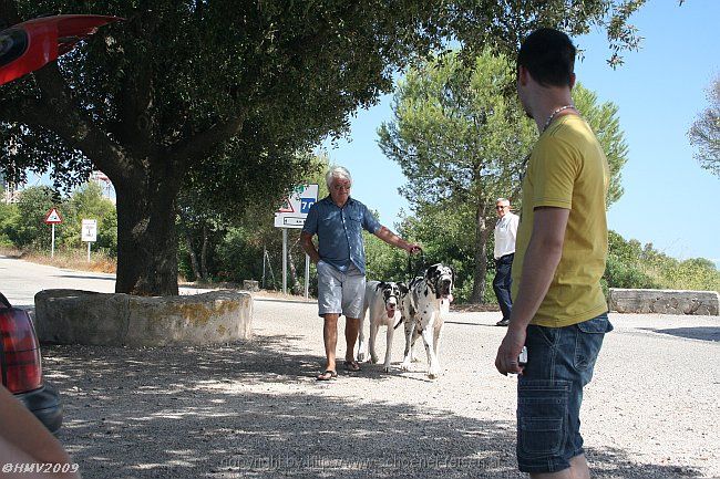 KLOSTER NOSTRA SENYORA DE CURA > Klosterparkplatz > Doggen