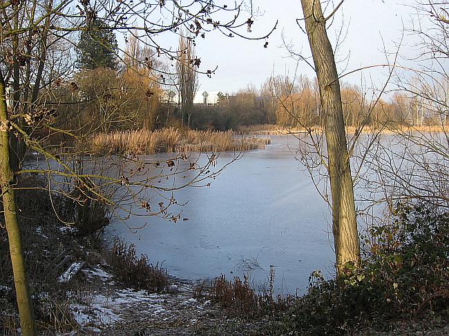 STUTTGART-MÖHRINGEN > Probstsee