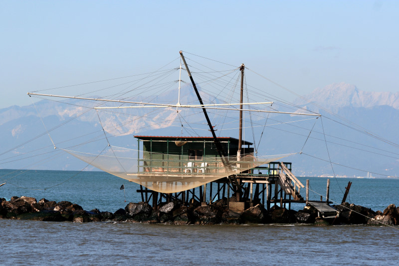 1276_ Marina di Pisa > Netze