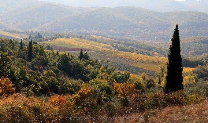 CHIANTI >  bei  Greve