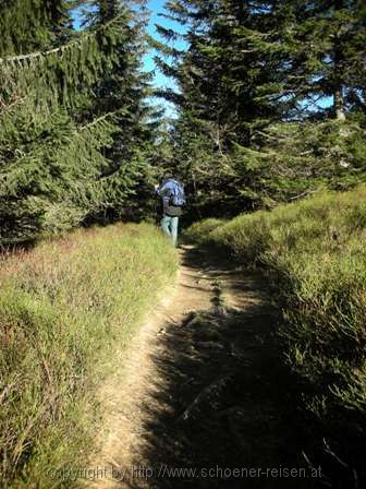 FELDBERG > aa 21 Wanderweg zur Zastlerhütte