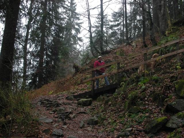 FELDBERG > Feldbergsteig