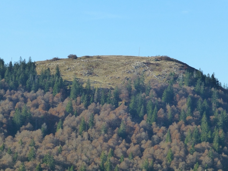 Herzogenhorn im Schwarzwald