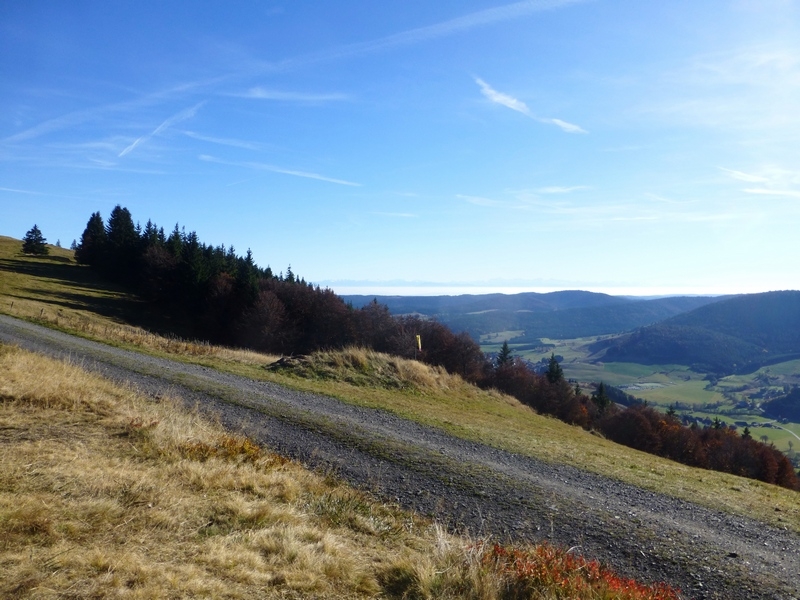 Im Südschwarzwald bei Bernau