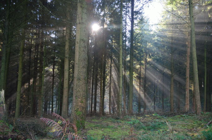 Naturpark Hohe Mark 3