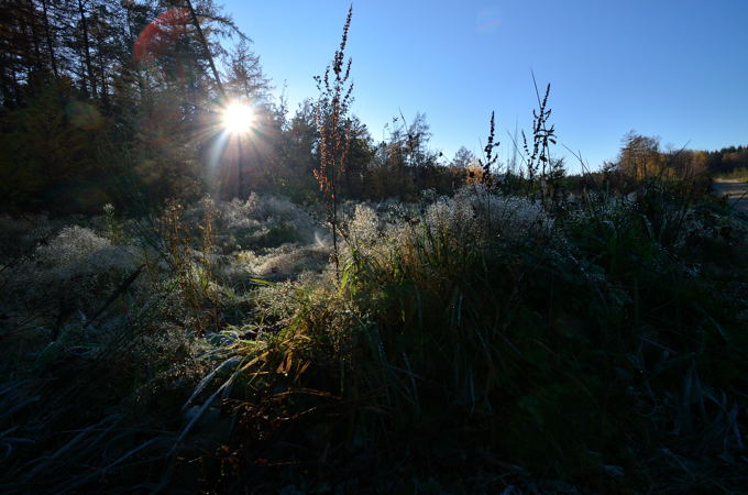 Naturpark Hohe Mark 02