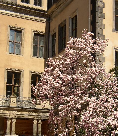 DRESDEN >  Residenzschloss > Südwestsecke