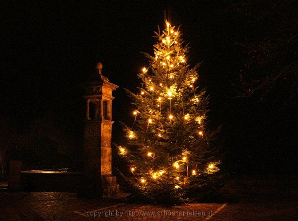 Weihnachtsbaum