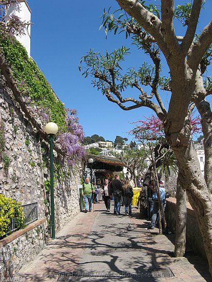 CAPRI > Via Giacomo Matteotti > Weg zum Augustusgarten