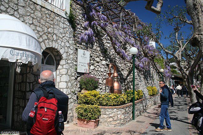 CAPRI > Via Giacomo Matteotti > Carthusia