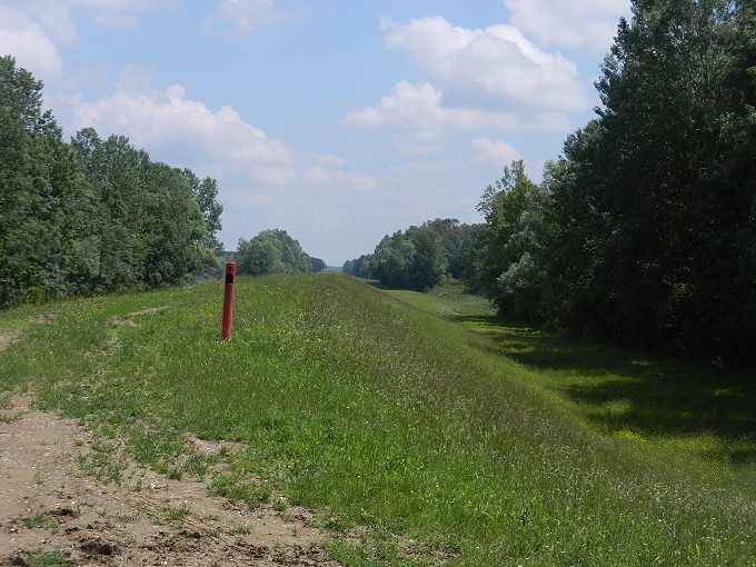 Im Lonjsko Polje