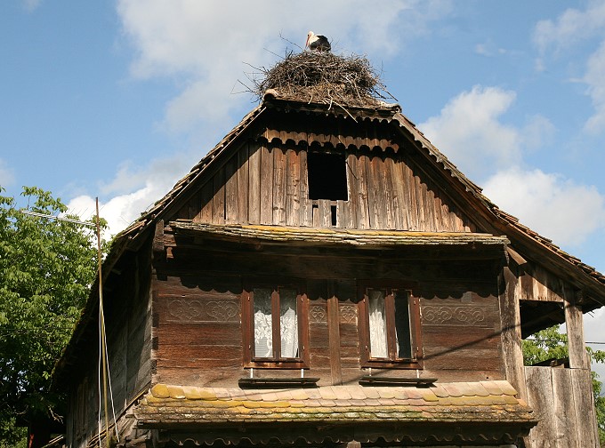 Lonjsko Polje 2