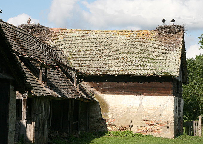 Lonjsko Polje 3