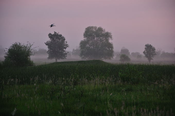 Naturpark Lonjsko Polje 05