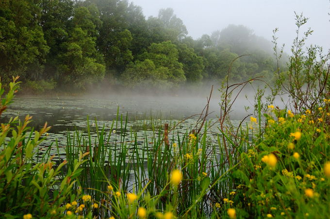 Naturpark Lonjsko Polje 05 3