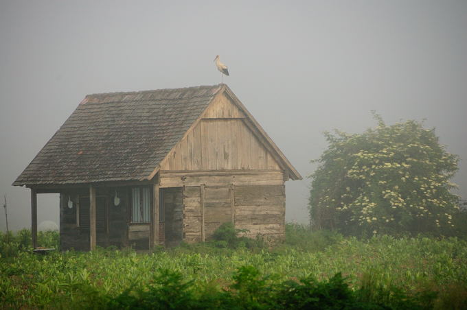 Naturpark Lonjsko Polje 05 5