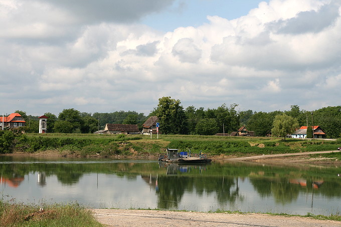 Im Lonjsko Polje 5