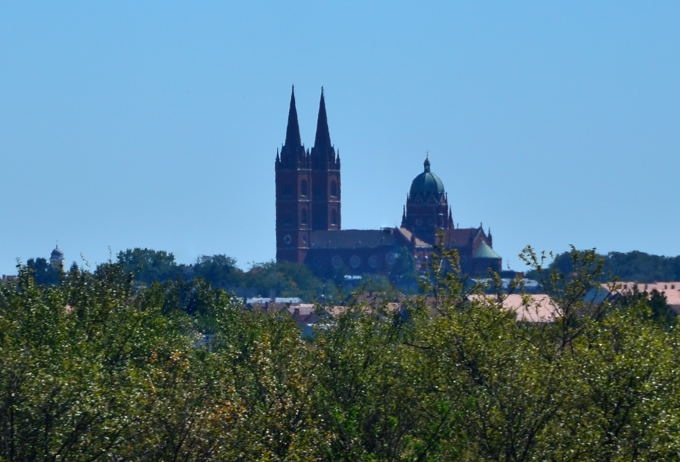 Naturpark Kopački rit 2013 01 DSC_4234