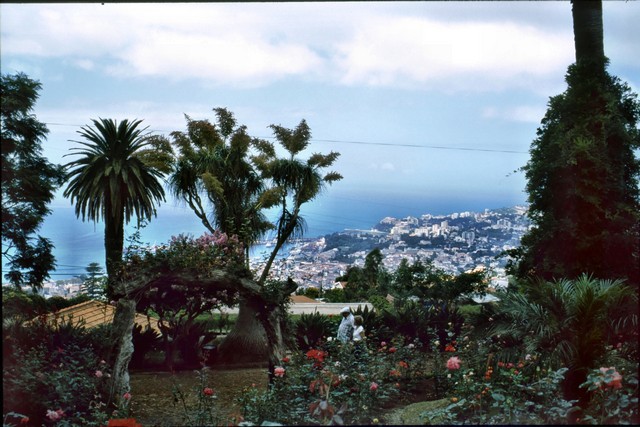 Madeira , die Vulkan- aber auch Frühlingsinsel, Teil 1 8