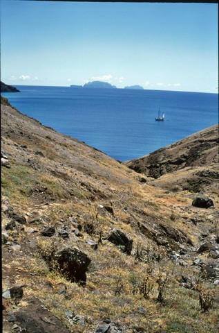 Madeira , die Vulkan- aber auch Frühlingsinsel, Teil 2 3