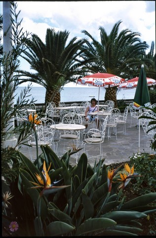 Madeira , die Vulkan- aber auch Frühlingsinsel, Teil 1 5