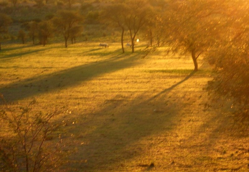 k-13-Sonnenuntergang auf der Düne 013