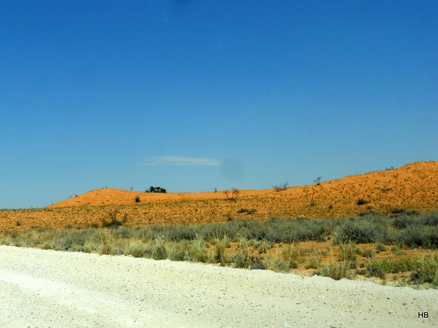 Kgalagadi Park 3