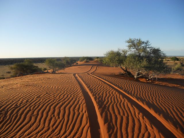 Spuren im Sand