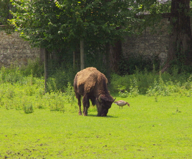 Tierpark Rosegg