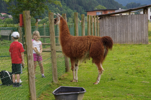 Tierpark Rosegg 8