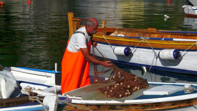 Herbst 2011, 11,Brac 5