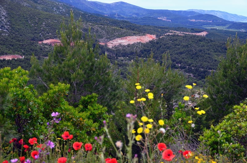 2014 Hvar DSC_7251