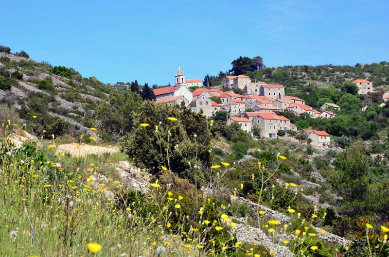 2014 Hvar DSC_7350