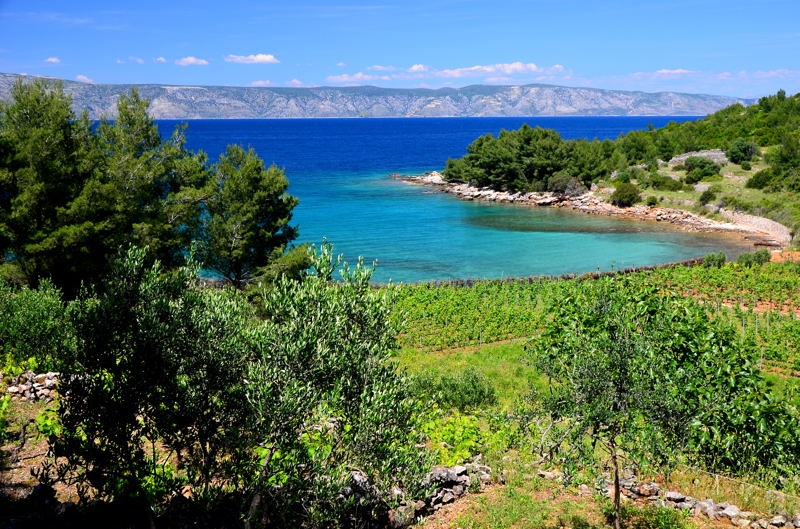 2014 Hvar DSC_7400