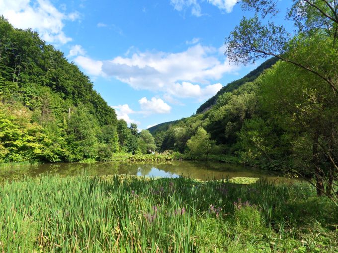 H:Lillafüred>Forellenhof>Blick vom oberen Teich