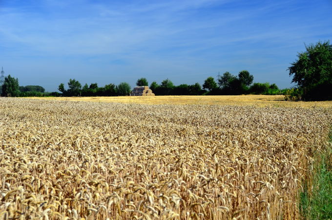 Hochsommer