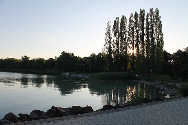REVFÜLÖP > Pappeln > Örtliches Erkennungsmotiv im Sonnenuntergang