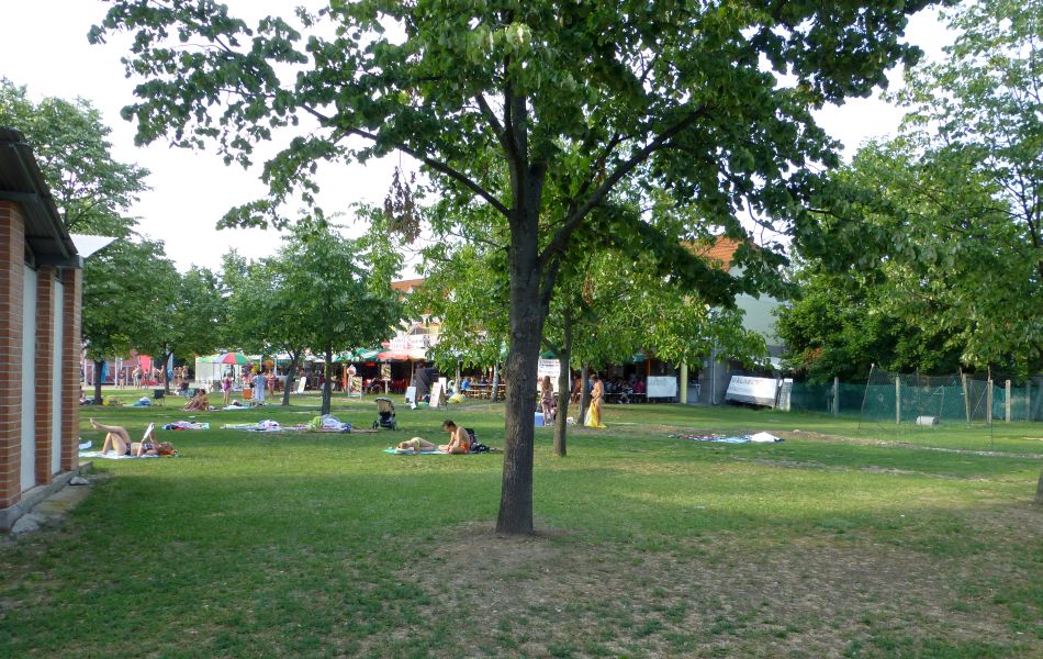 H:Bogács>Thermalbad>Bäume2