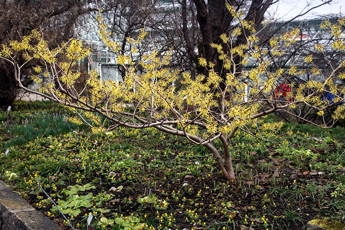 München > Botanischer Garten 6